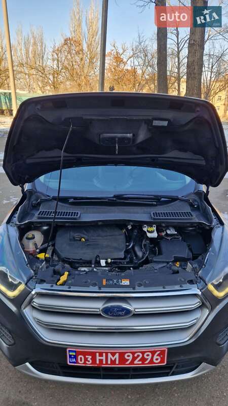 Внедорожник / Кроссовер Ford Escape 2017 в Николаеве фото 6 Внедорожник / Кроссовер Ford Escape 2017 в Николаеве