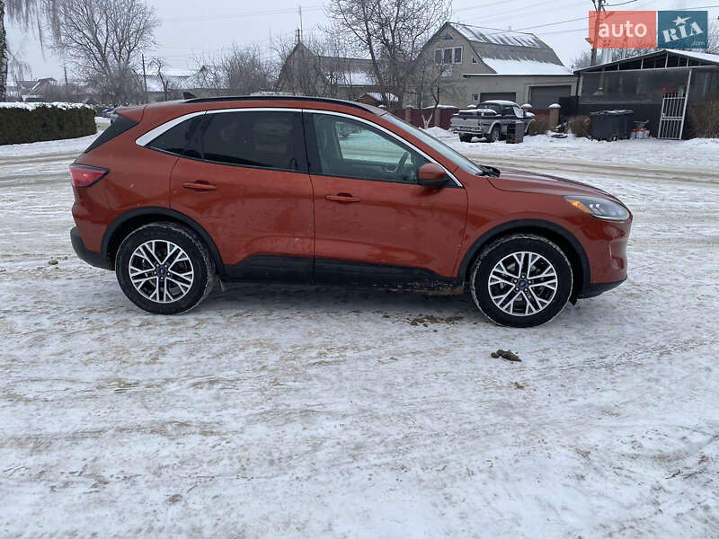 Внедорожник / Кроссовер Ford Escape 2019 в Киеве