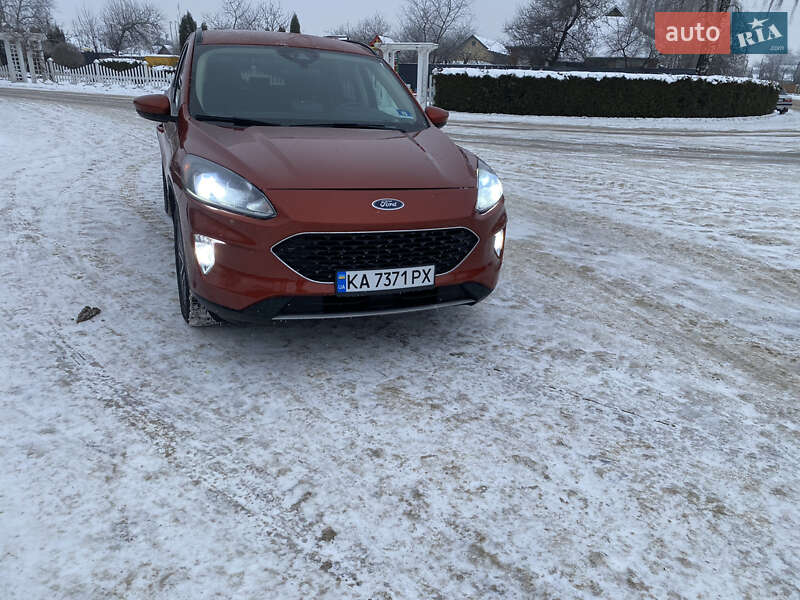 Внедорожник / Кроссовер Ford Escape 2019 в Киеве