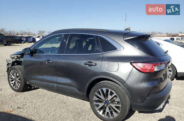 Внедорожник / Кроссовер Ford Escape 2020 в Стрые
