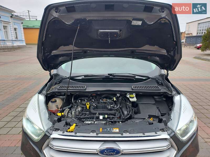 Внедорожник / Кроссовер Ford Escape 2017 в Карловке