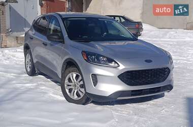 Внедорожник / Кроссовер Ford Escape 2020 в Хмельницком