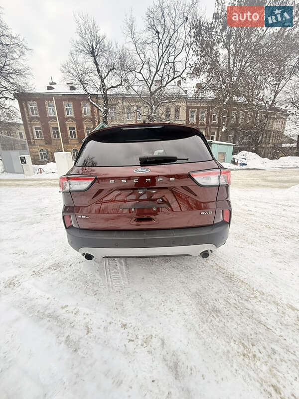 Внедорожник / Кроссовер Ford Escape 2021 в Львове