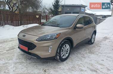 Внедорожник / Кроссовер Ford Escape 2020 в Чернигове