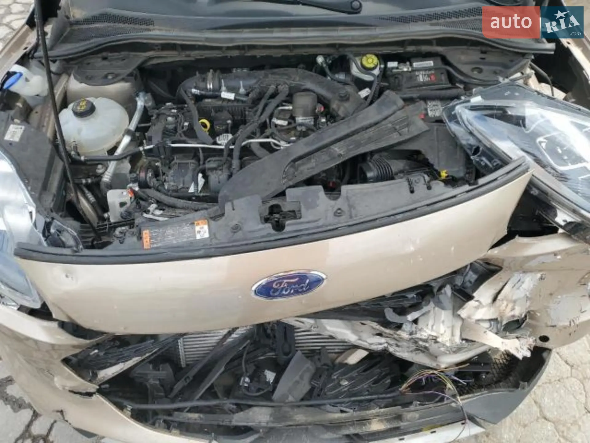 2021 Ford Escape - мініатюра 14