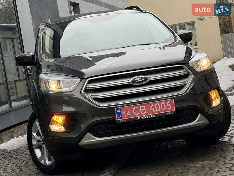 Позашляховик / Кросовер Ford Escape 2019 в Дрогобичі