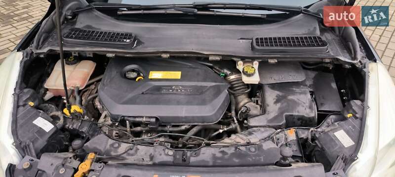 Внедорожник / Кроссовер Ford Escape 2016 в Львове фото 24 Внедорожник / Кроссовер Ford Escape 2016 в Львове