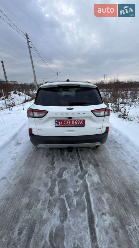 Внедорожник / Кроссовер Ford Escape 2019 в Ивано-Франковске
