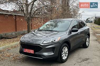 Позашляховик / Кросовер Ford Escape 2022 в Дніпрі