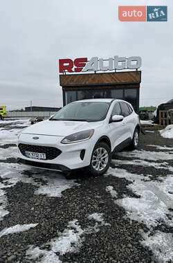 Внедорожник / Кроссовер Ford Escape 2020 в Луцке