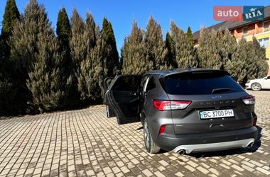 Внедорожник / Кроссовер Ford Escape 2021 в Самборе
