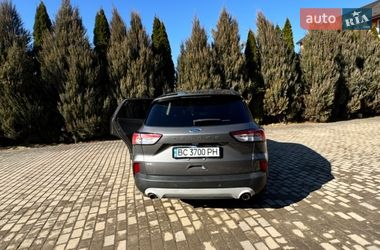 Внедорожник / Кроссовер Ford Escape 2021 в Самборе