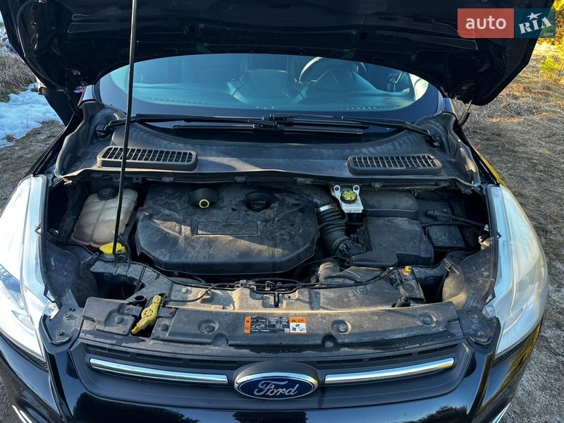 Внедорожник / Кроссовер Ford Escape 2015 в Славуте