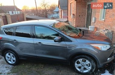 Внедорожник / Кроссовер Ford Escape 2013 в Хмельницком фото 6 Внедорожник / Кроссовер Ford Escape 2013 в Хмельницком