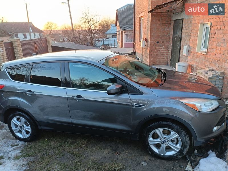Внедорожник / Кроссовер Ford Escape 2013 в Хмельницком фото 6 Внедорожник / Кроссовер Ford Escape 2013 в Хмельницком