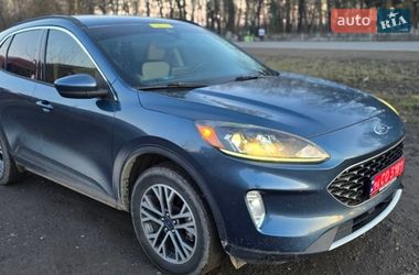Внедорожник / Кроссовер Ford Escape 2020 в Шаргороде