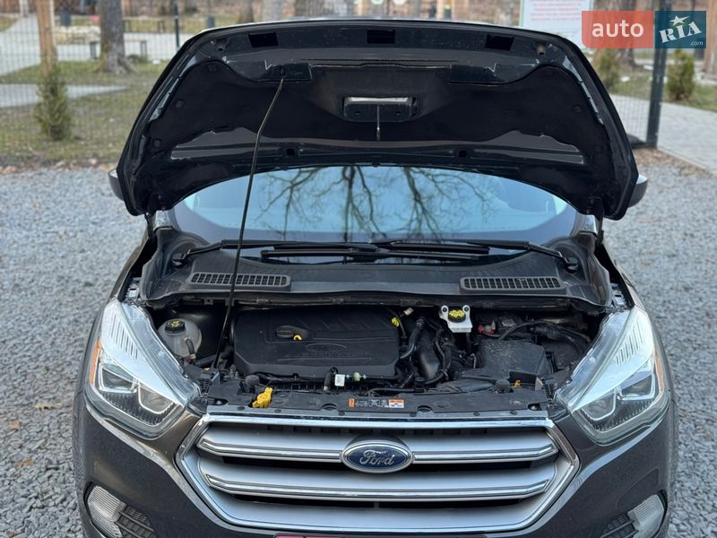 Позашляховик / Кросовер Ford Escape 2017 в Радивиліві