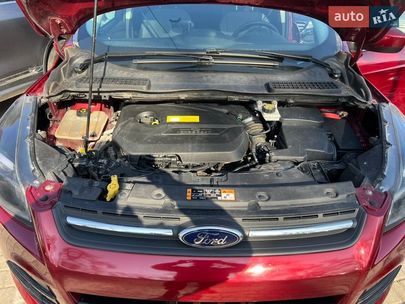 Внедорожник / Кроссовер Ford Escape 2015 в Залещиках фото 19 Внедорожник / Кроссовер Ford Escape 2015 в Залещиках