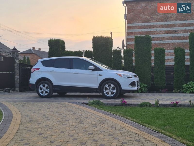 Позашляховик / Кросовер Ford Escape 2014 в Радехові
