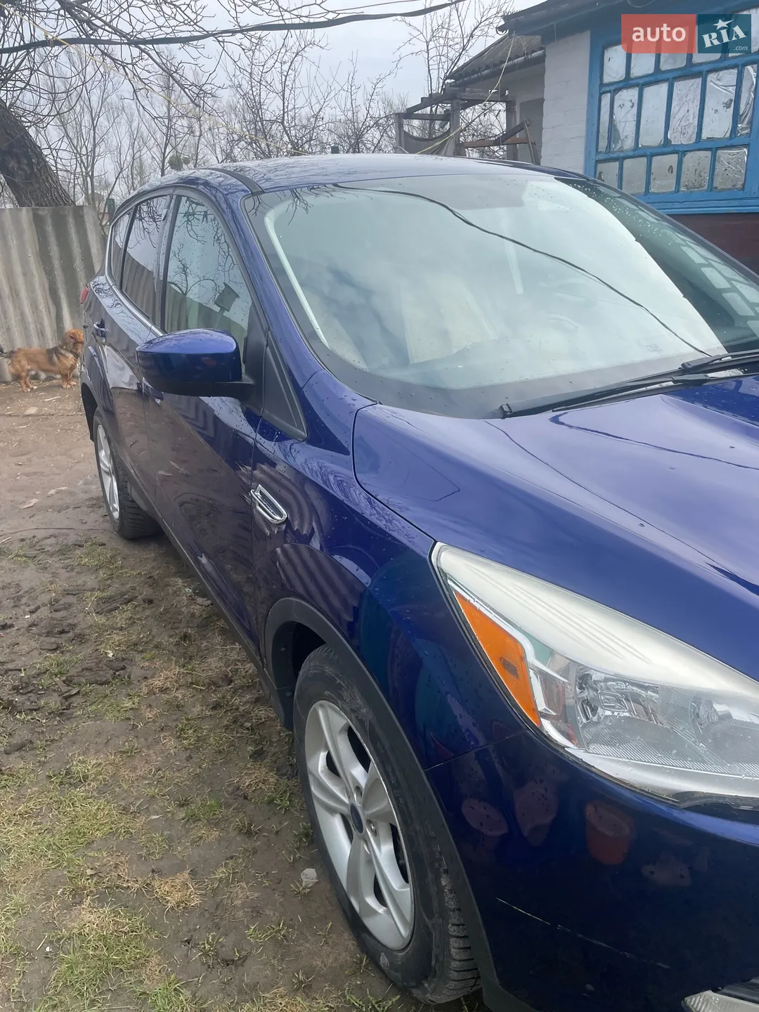 2014 Ford Escape - мініатюра 3