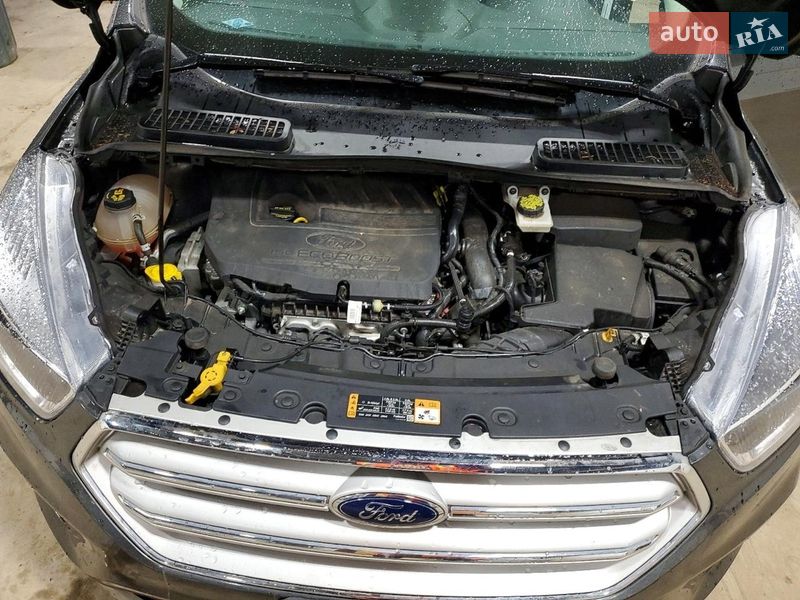 Внедорожник / Кроссовер Ford Escape 2018 в Луцке фото 12 Внедорожник / Кроссовер Ford Escape 2018 в Луцке