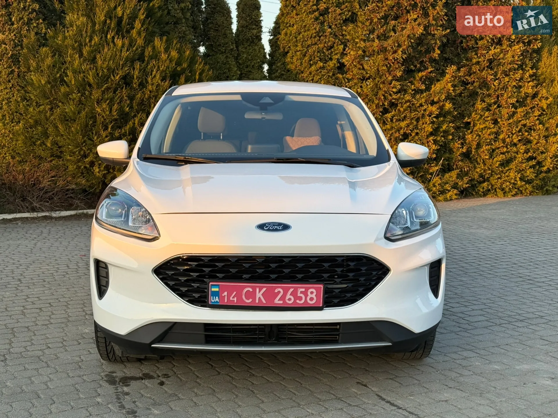 2020 Ford Escape - мініатюра 3