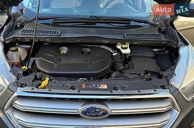 Внедорожник / Кроссовер Ford Escape 2017 в Дрогобыче