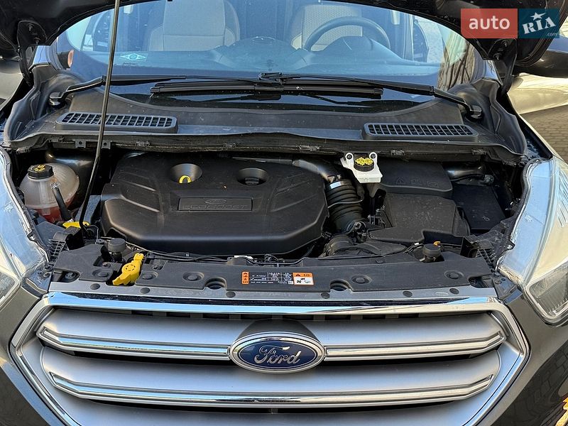Внедорожник / Кроссовер Ford Escape 2017 в Дрогобыче