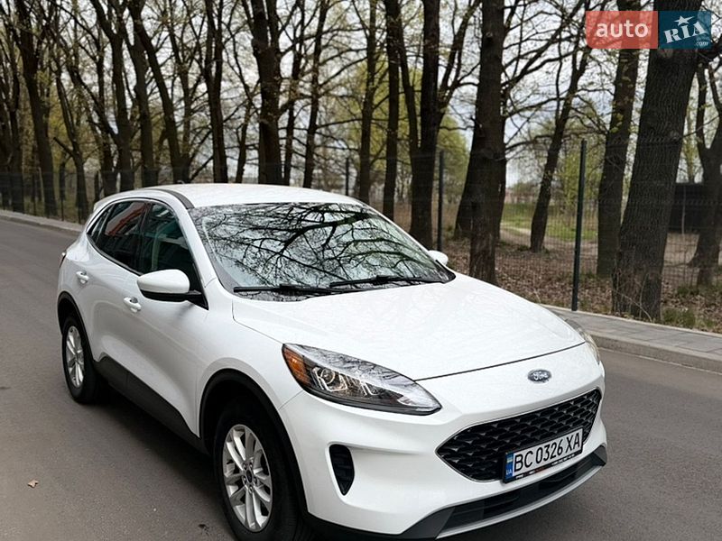 Внедорожник / Кроссовер Ford Escape 2019 в Чернигове
