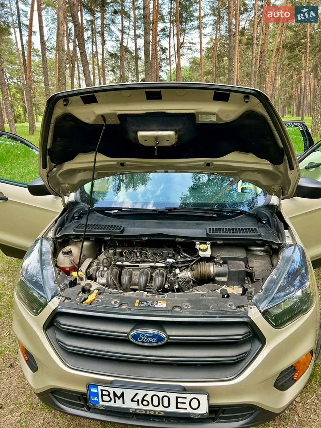 2017 Ford Escape - мініатюра 12