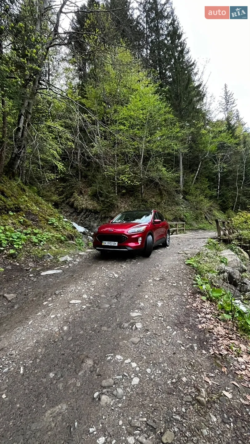 2019 Ford Escape - мініатюра 6