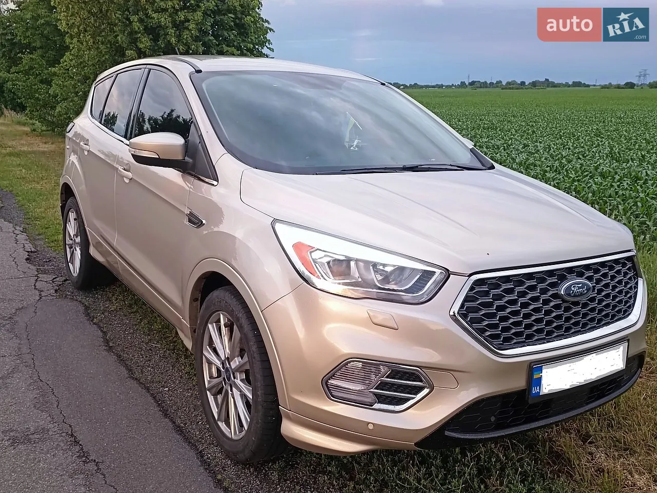 2017 Ford Escape - мініатюра 12