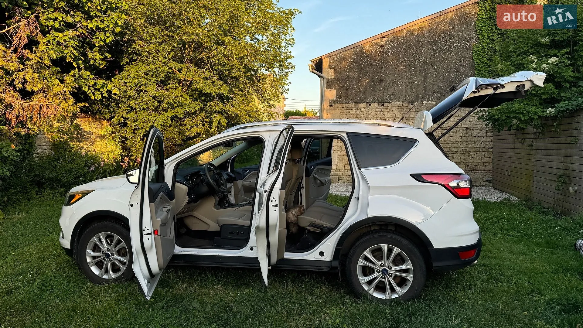 2017 Ford Escape - мініатюра 22