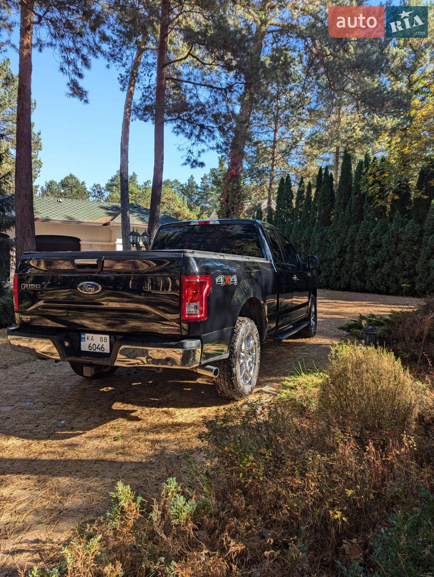 2016 Ford F-150 - мініатюра 13