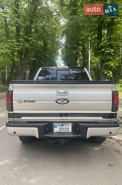 Пикап Ford F-150 2014 в 