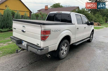 Пикап Ford F-150 2009 в 