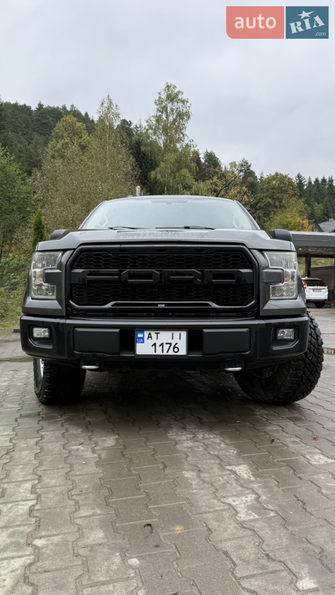 2015 Ford F-150 - мініатюра 7