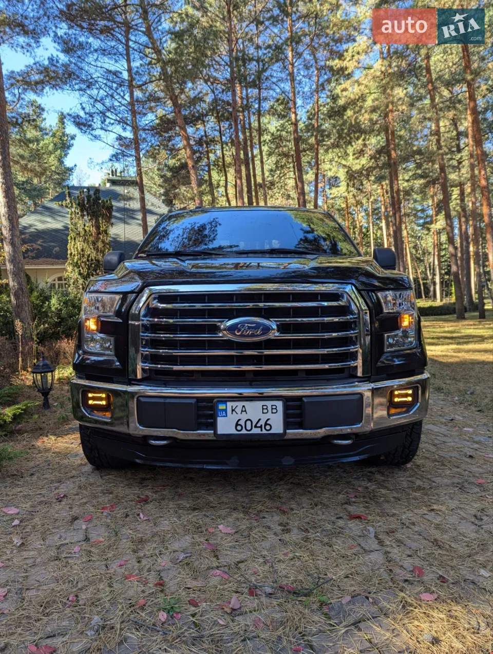 2017 Ford F-150 - мініатюра 31