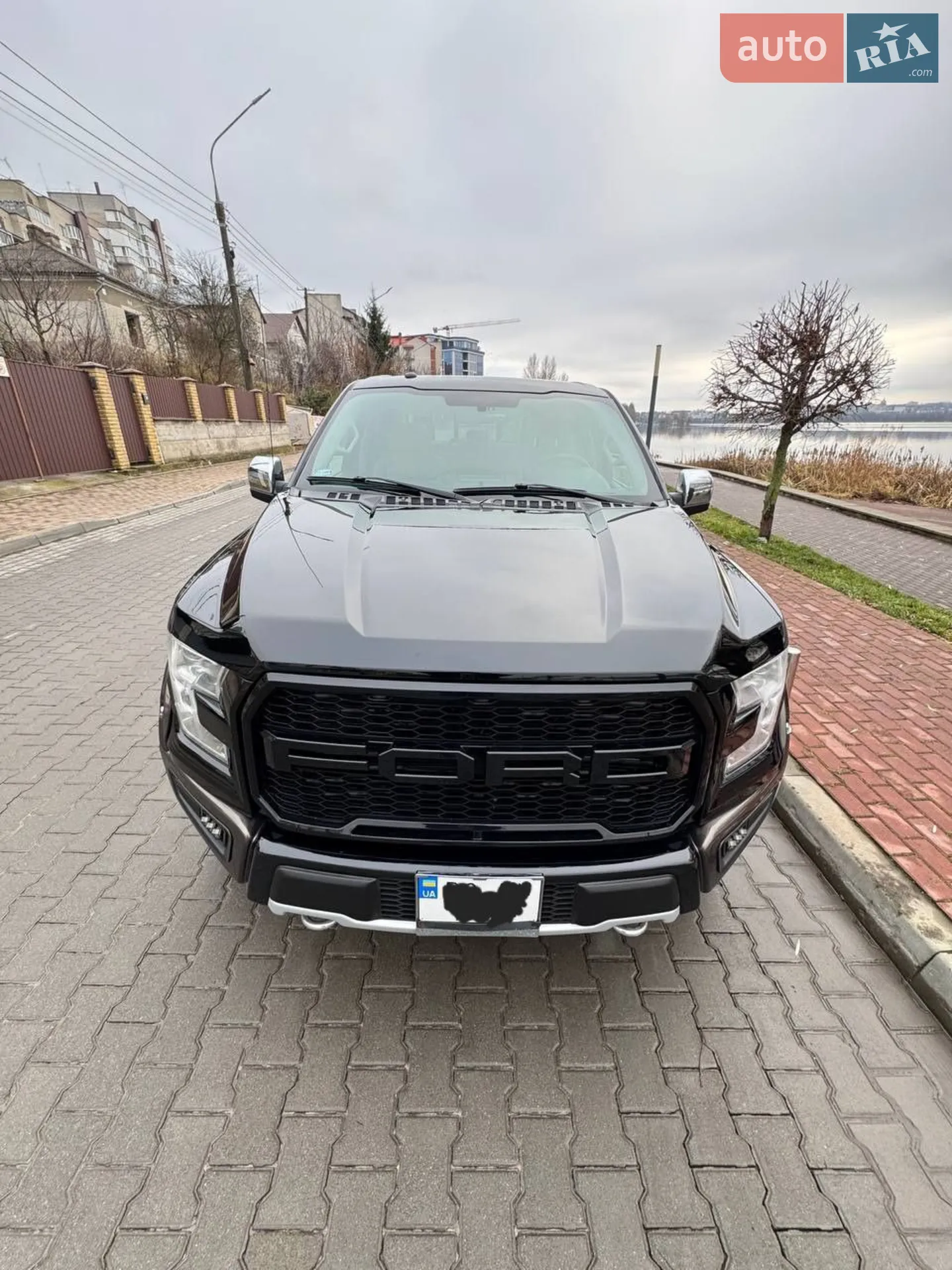2017 Ford F-150 - мініатюра 2