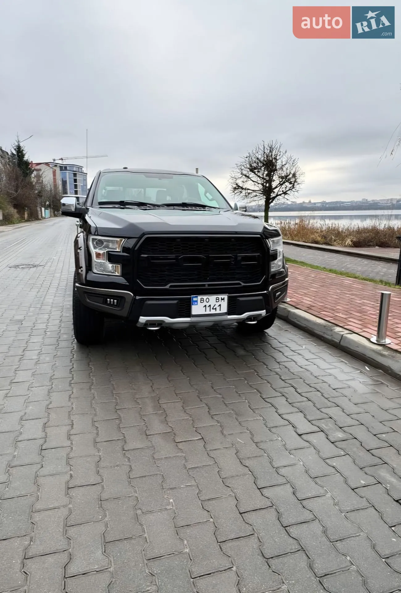 2017 Ford F-150 - мініатюра 3