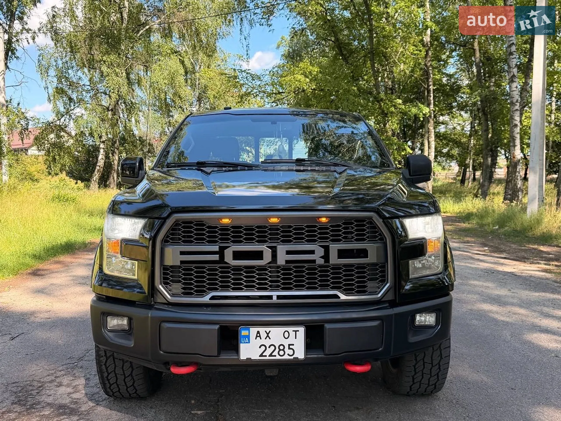 2015 Ford F-150 - мініатюра 2