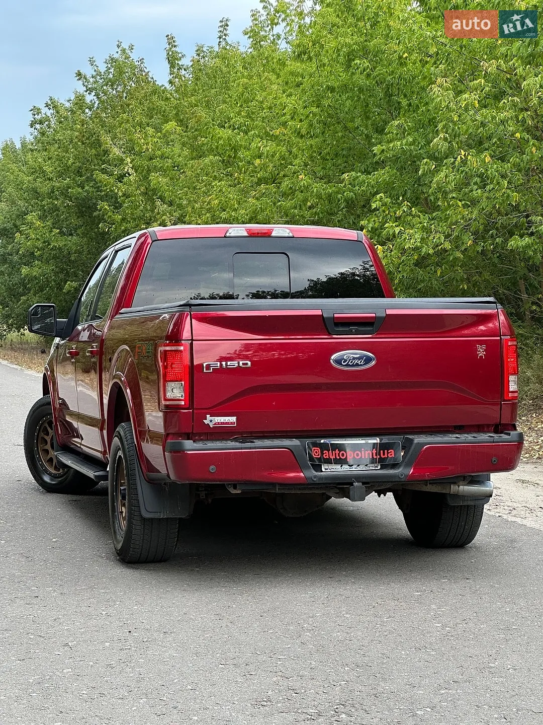 2015 Ford F-150 - мініатюра 12
