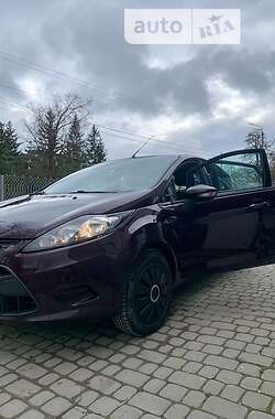 Хэтчбек Ford Fiesta 2010 в 