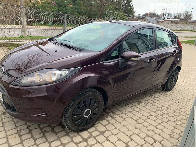 Хэтчбек Ford Fiesta 2010 в 