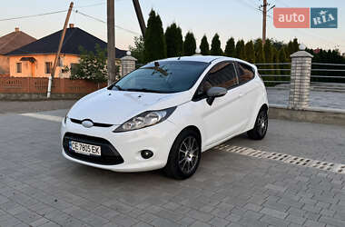 Хэтчбек Ford Fiesta 2009 в 