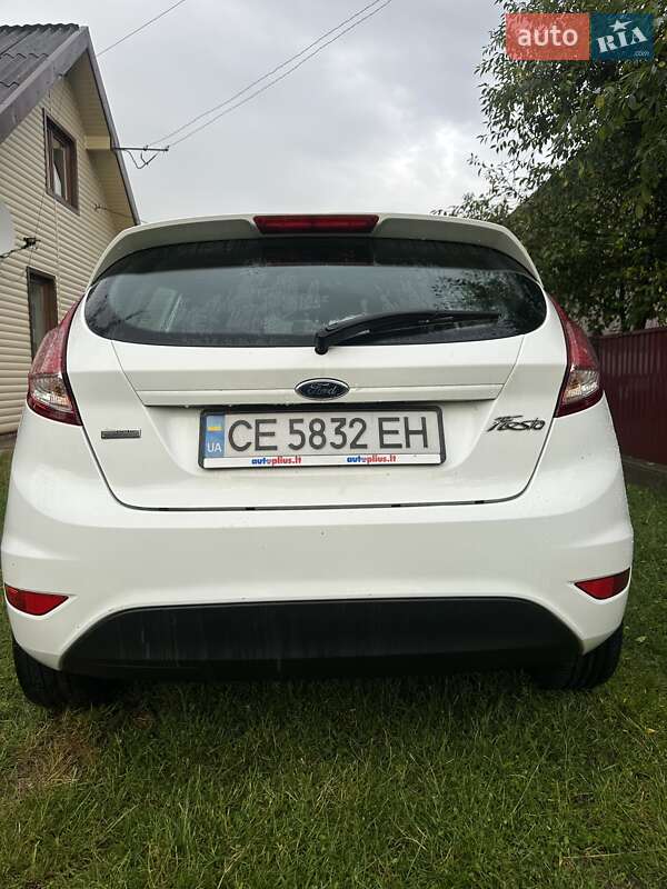 Хэтчбек Ford Fiesta 2014 в Берегомете