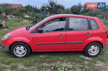 Хэтчбек Ford Fiesta 2007 в 