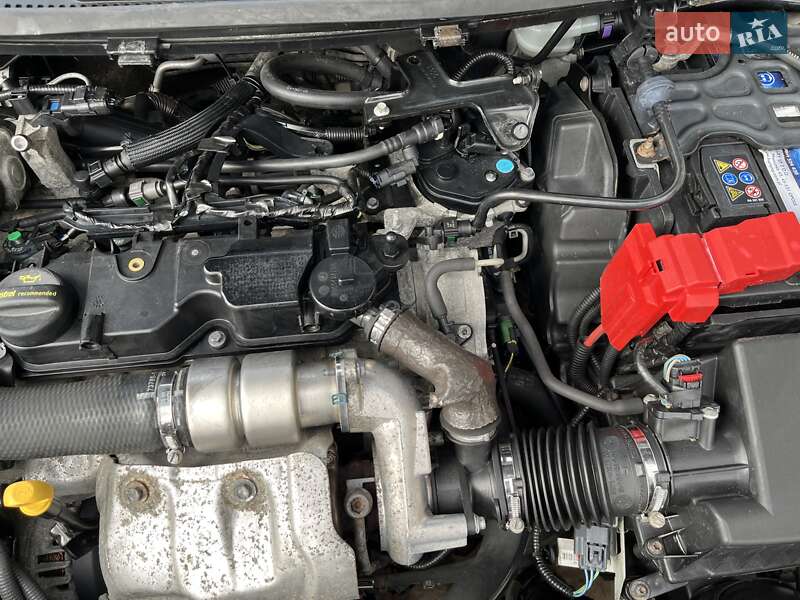Хэтчбек Ford Fiesta 2011 в Пустомытах