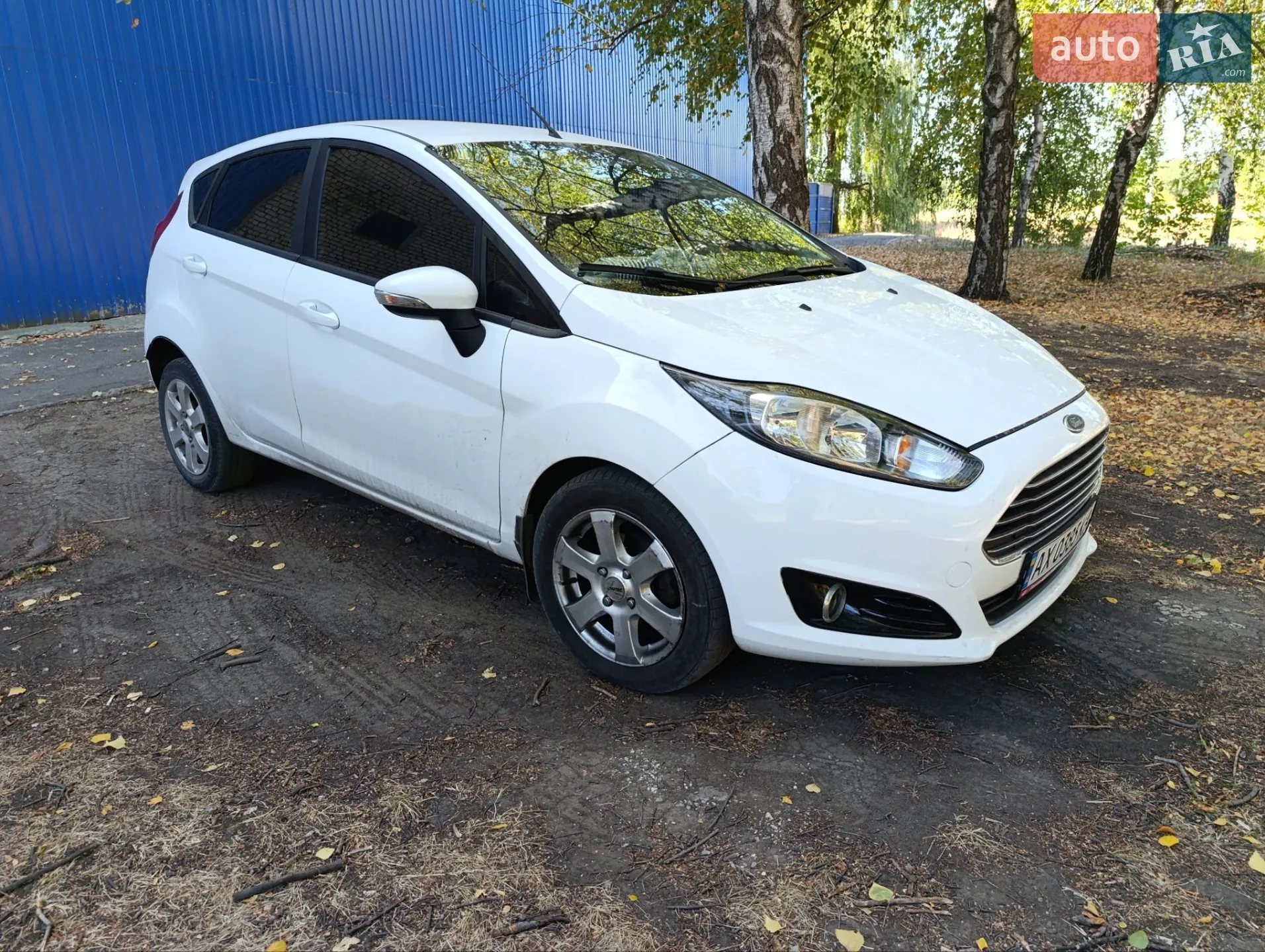 2013 Ford Fiesta - фото 1