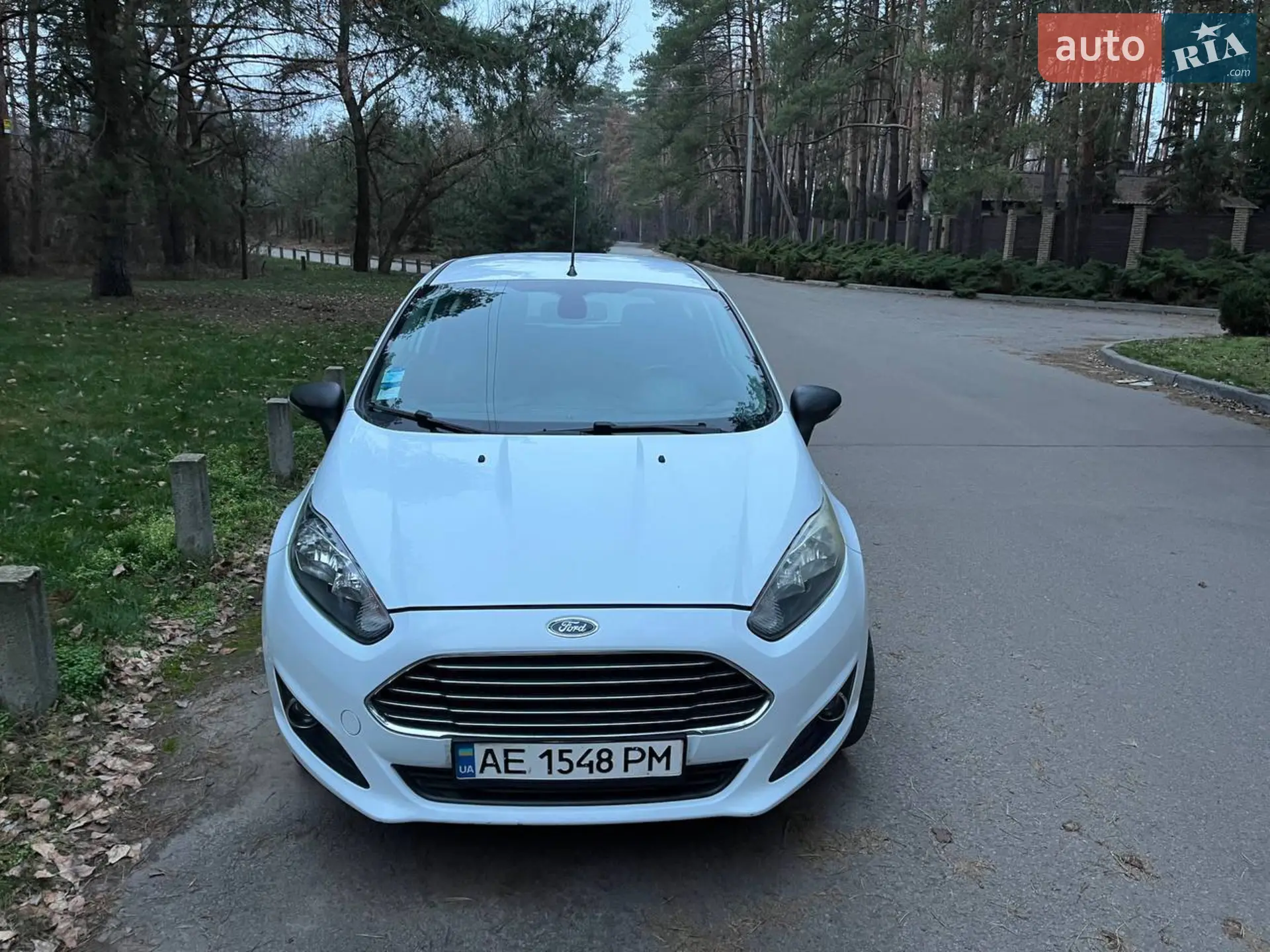 2013 Ford Fiesta - мініатюра 2